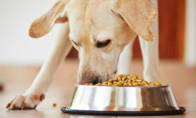Australian-Made Pet Foods: Ensuring Quality and Supporting Local - Woonona Petfood & Produce