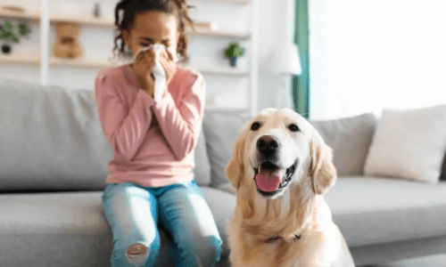 How to Handle Pet Allergies in Your Household - Woonona Petfoods