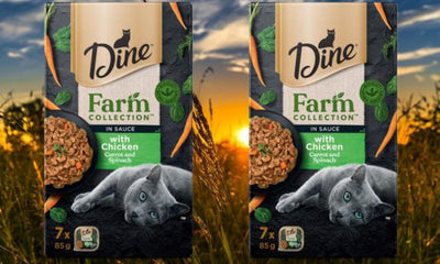 Introducing the DINE Farm Collection: Elevating Pet Dining to a Whole New Level - Woonona Petfood & Produce