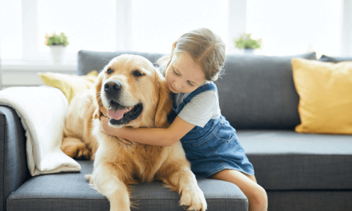 Pets and Children: Building Safe, Loving Relationships - Woonona Petfoods