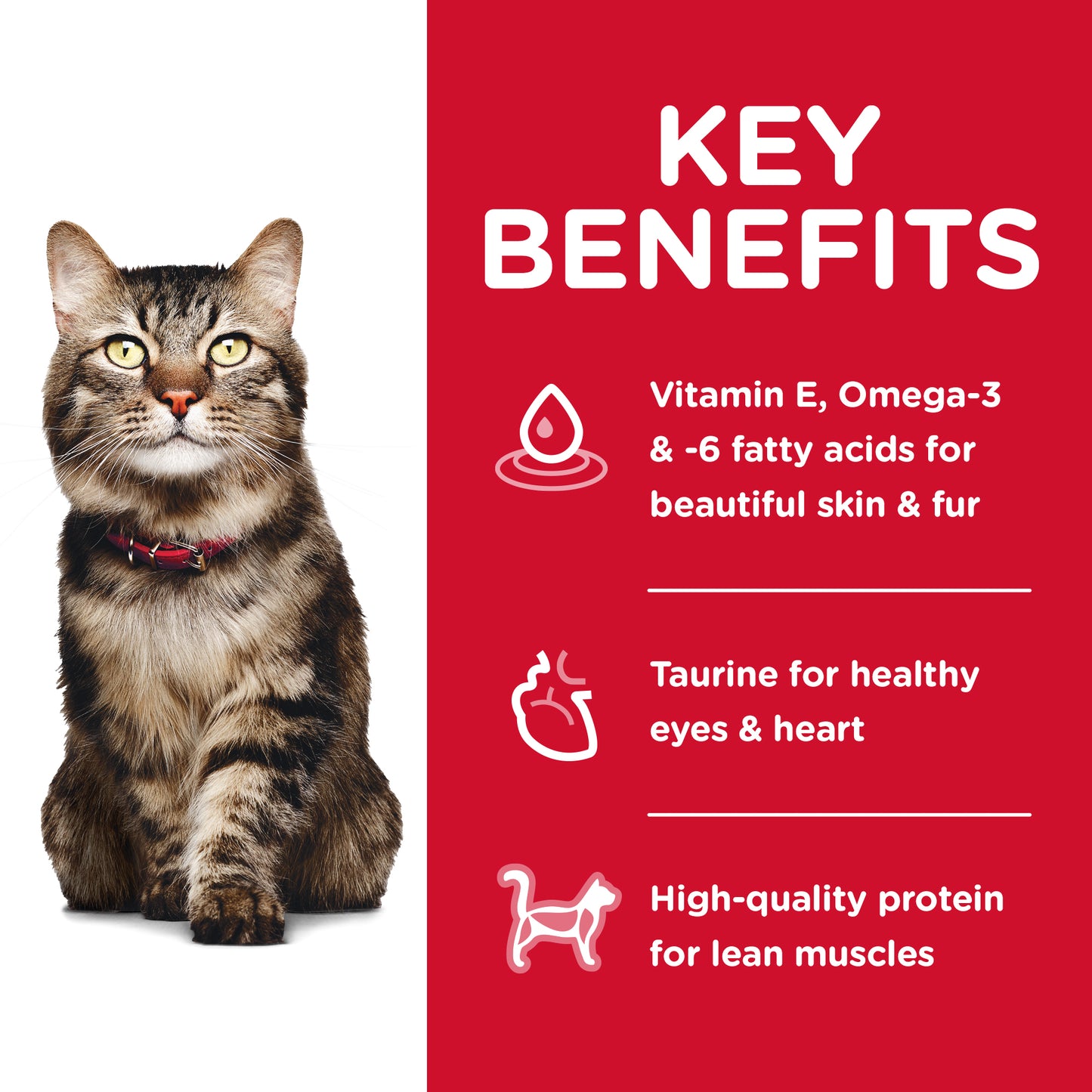 Hill's Science Diet Hairball Control Senior Adult 7+ Dry Cat Food