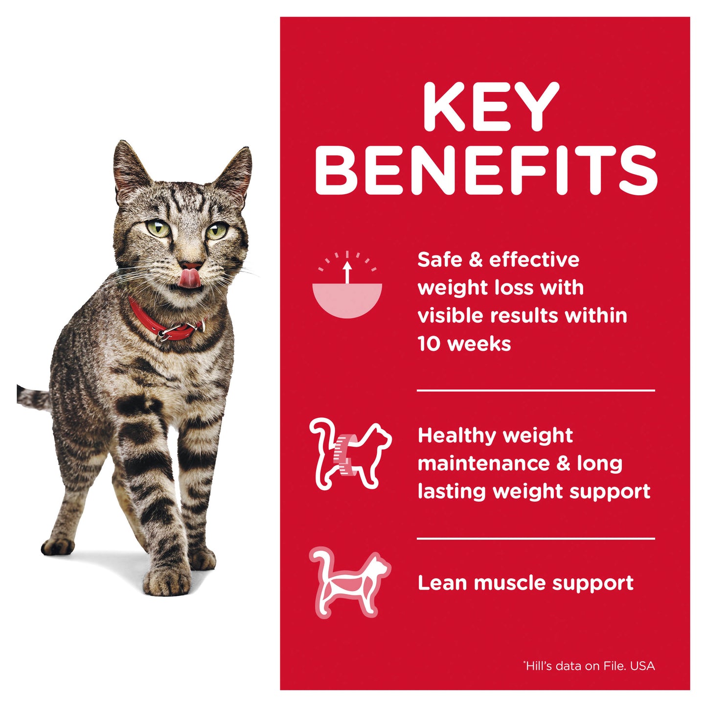 Hill's Science Diet Adult Perfect Weight Chicken Cat Food pouches 85g