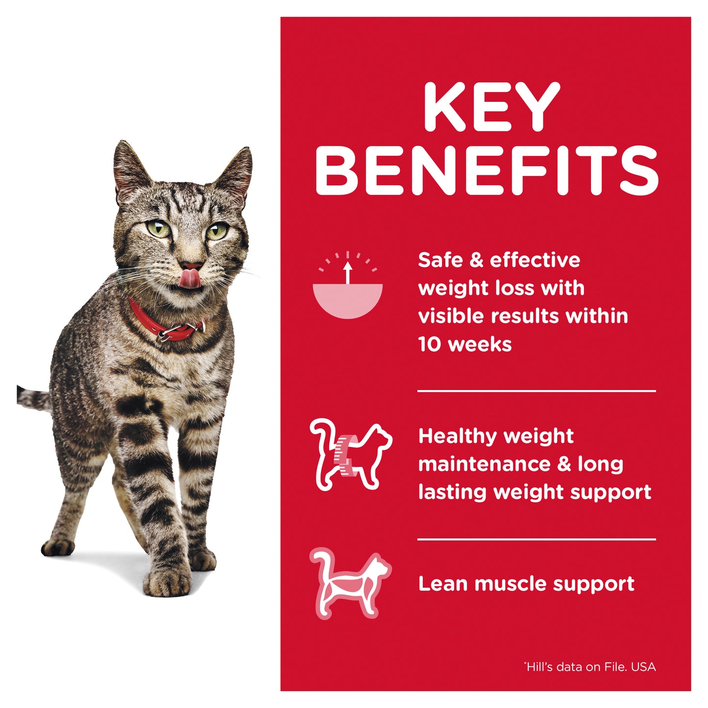 Hill's Science Diet Adult Perfect Weight Salmon Cat Food pouches 12x85g