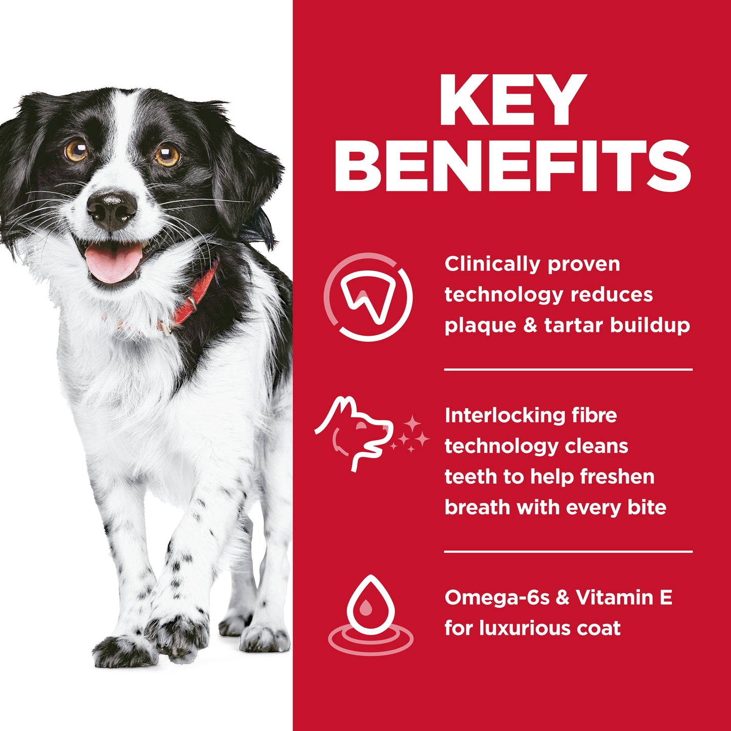 Hill's Science Diet Adult Oral Care Small Breed