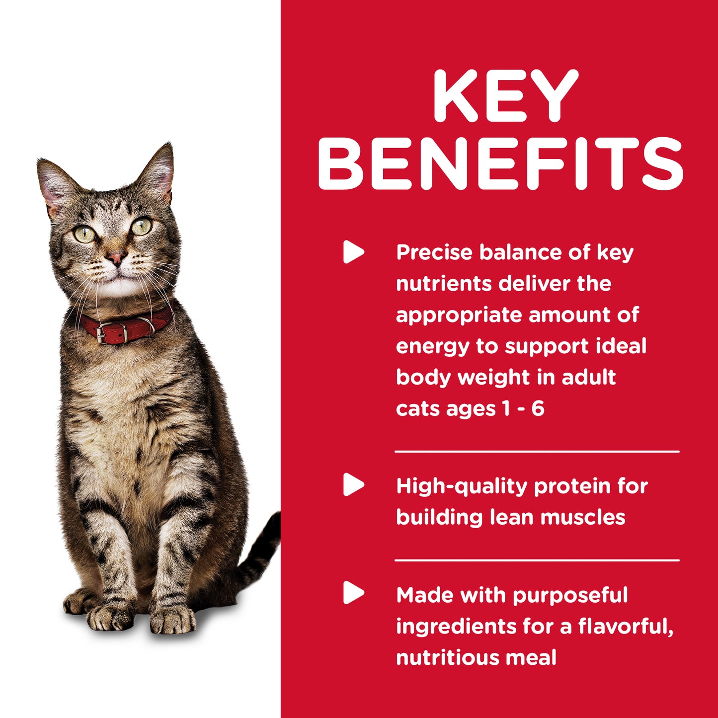 Hill's Science Diet Adult Tender Dinners Tuna Canned Cat Food 156g