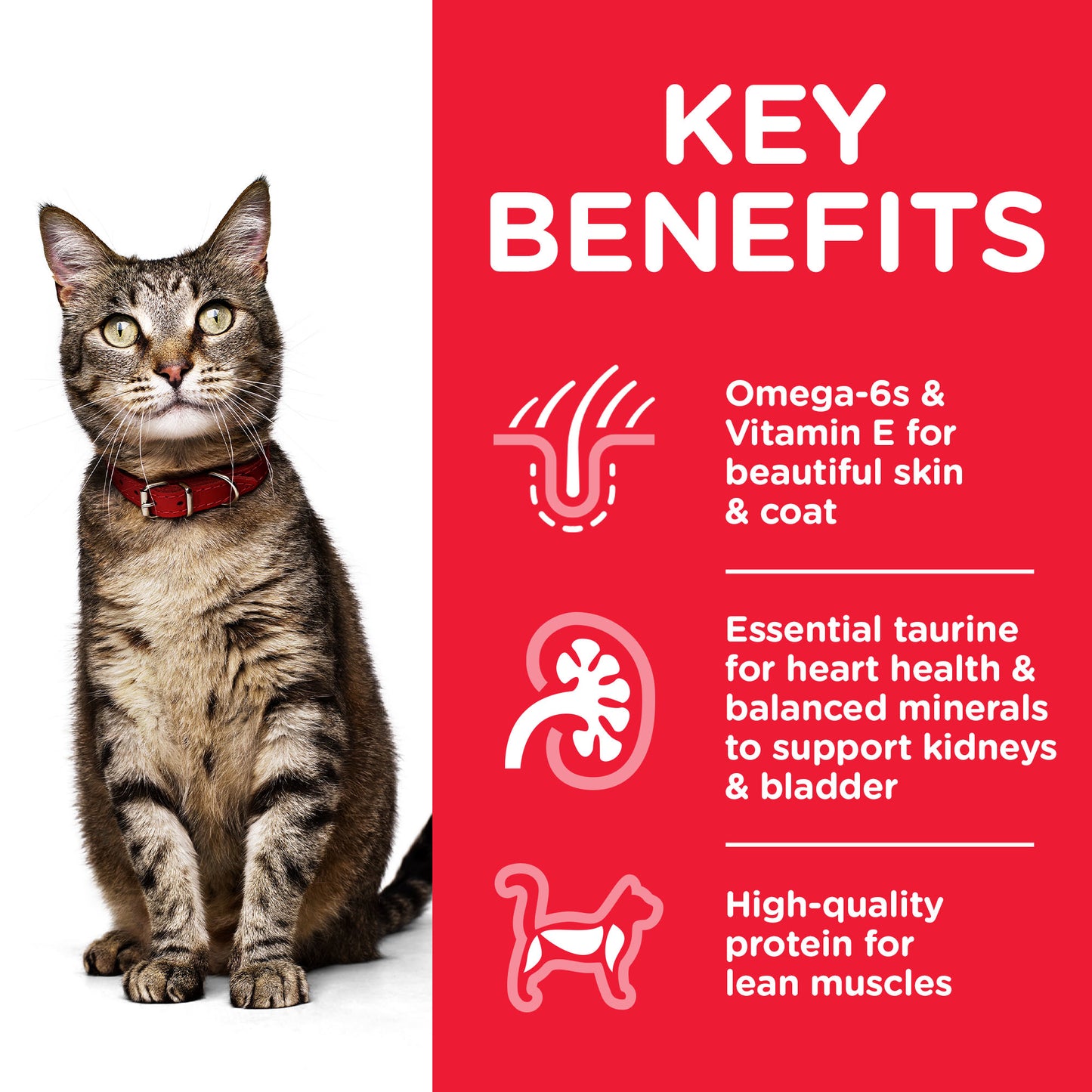 Hill's Science Diet Adult Optimal Care Beef Cat Food pouches 12x85g