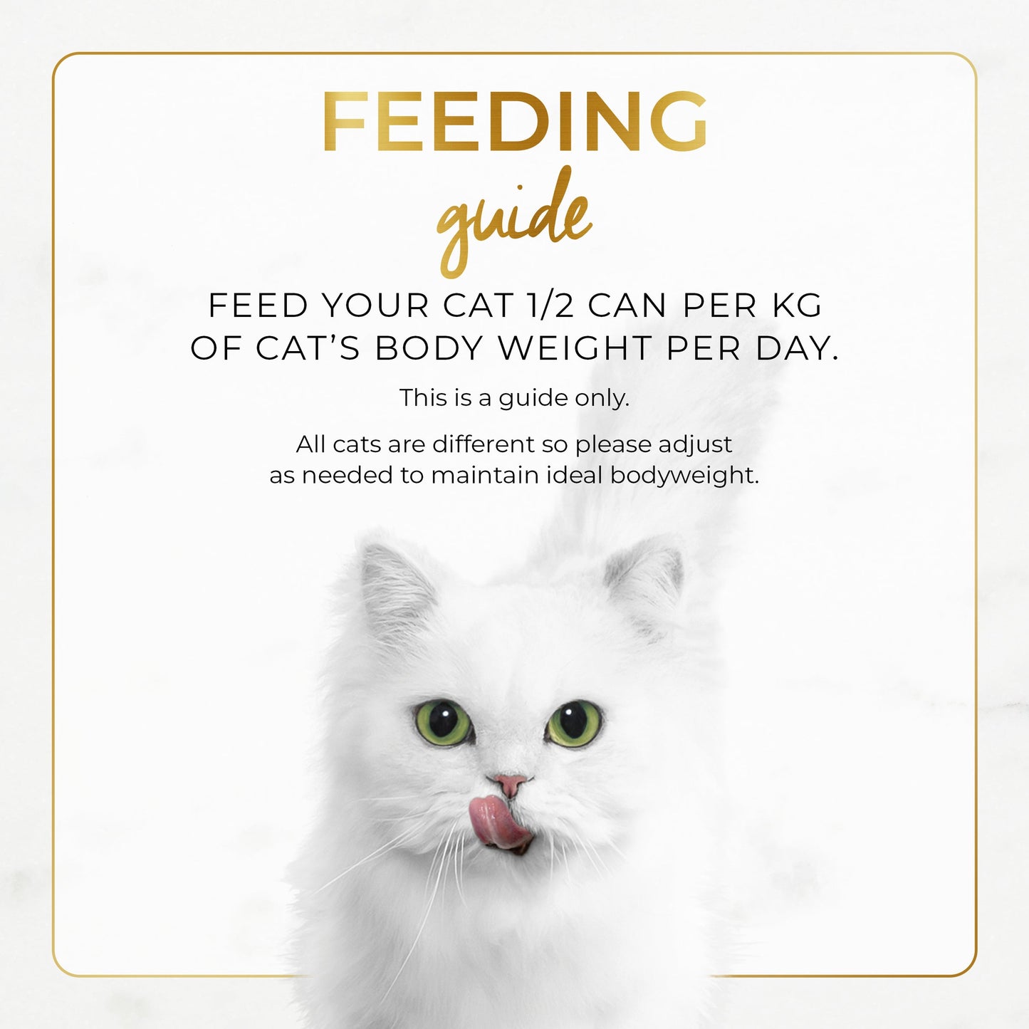 Fancy Feast Classic Pate Beef and Chicken Feast 85g - Woonona Petfoods
