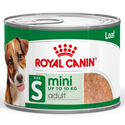 Royal Canin Wet Dog Food Mini Adult Loaf 12x195g
