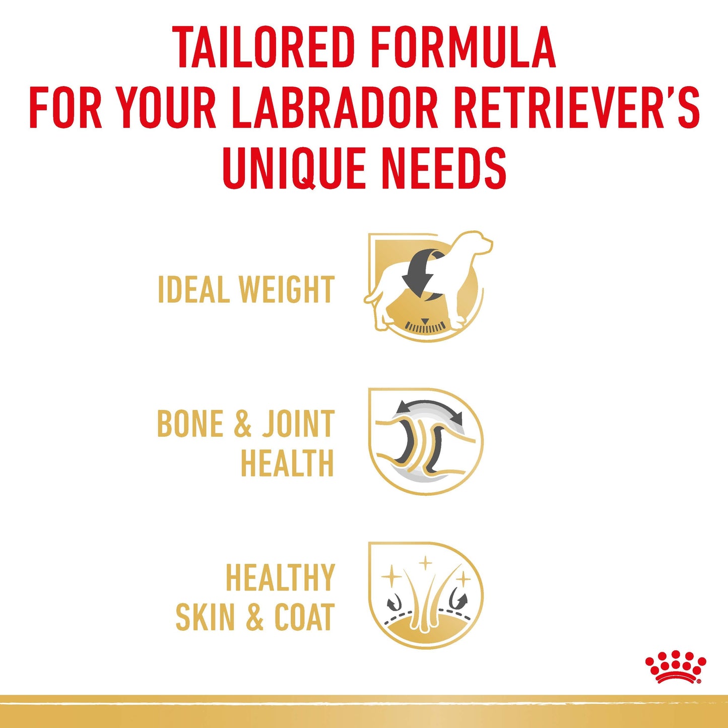 Royal Canin Wet Dog Food Labrador 140g