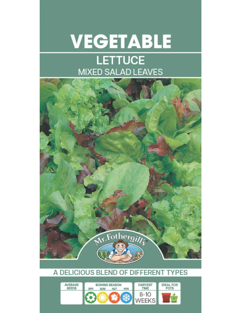 Mr Fothergills Lettuce Mixed Salad Leaves