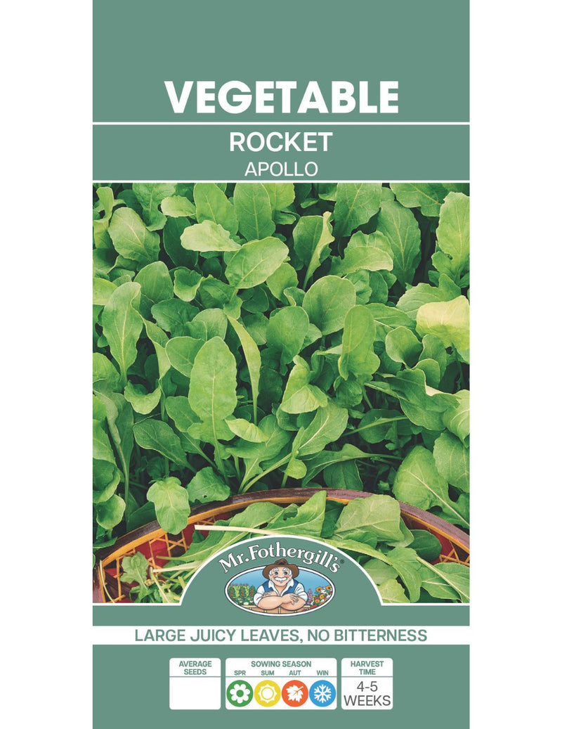 Mr Fothergills Rocket Apollo