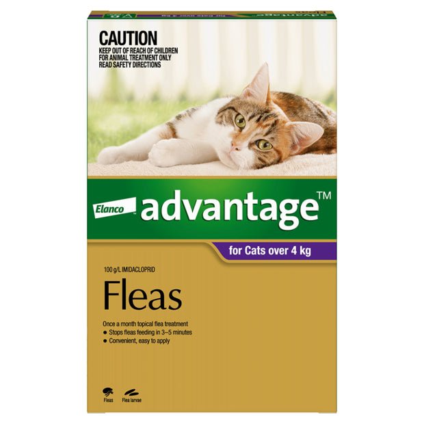 Advantage Cat Over 4kg Purple - Woonona Petfood & Produce