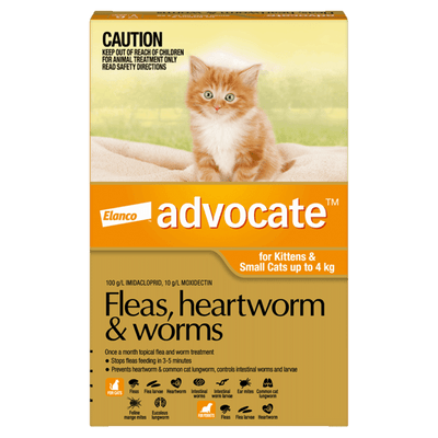 Advocate Cat 0-4kg Orange