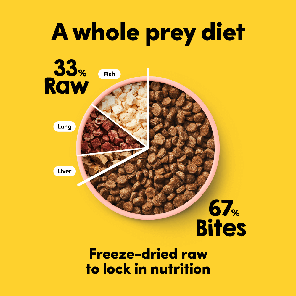 Animals Like Us Raw Mix Ocean Fish 2kg