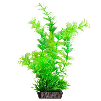 Aqua One Ecoscape Ambulia Green Medium - Woonona Petfoods