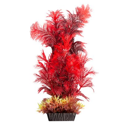 Aqua One Ecoscape Cabomba Red Medium - Woonona Petfoods