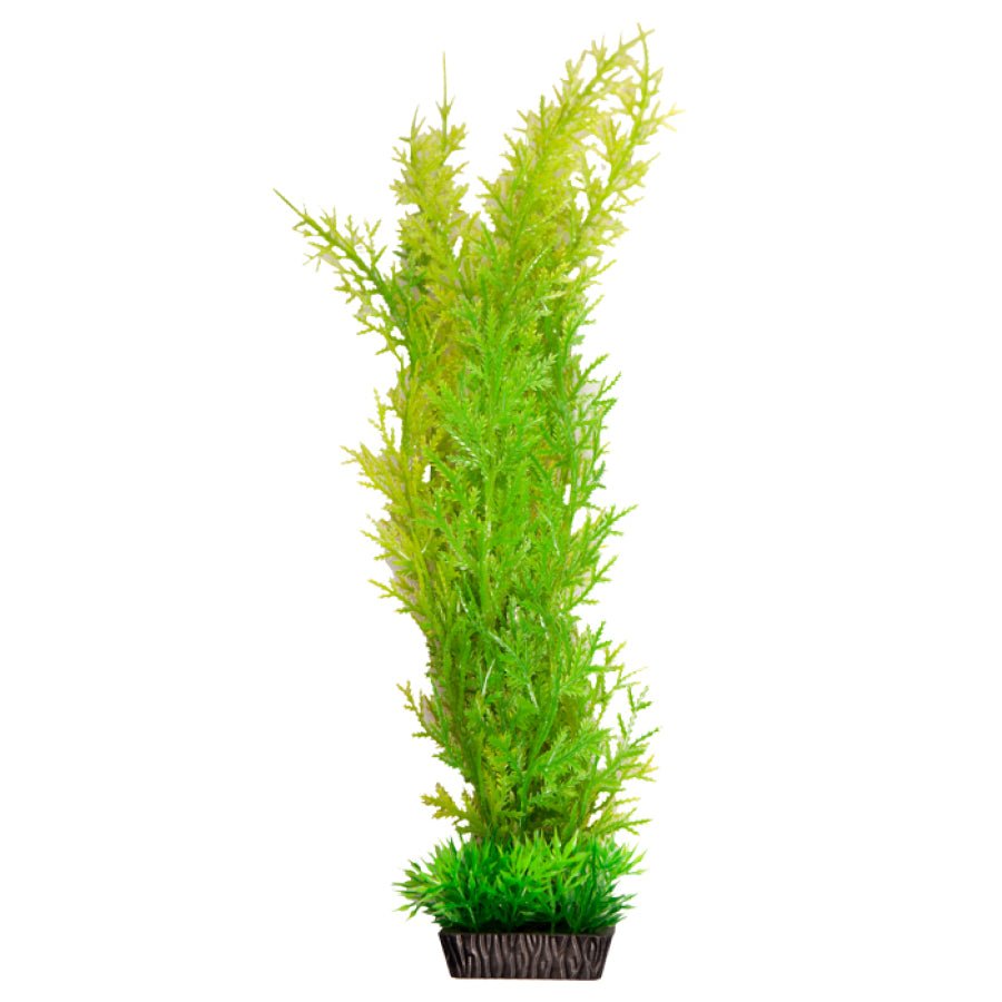 Aqua One Ecoscape Large Christmas Moss Green - Woonona Petfoods