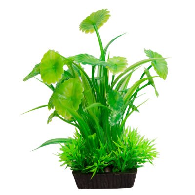 Aqua One Ecoscape Lotus Leaf/Lilaeopsis Green Small - Woonona Petfoods