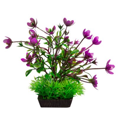 Aqua One Ecoscape Rana Digitos Green/Purple Small - Woonona Petfoods