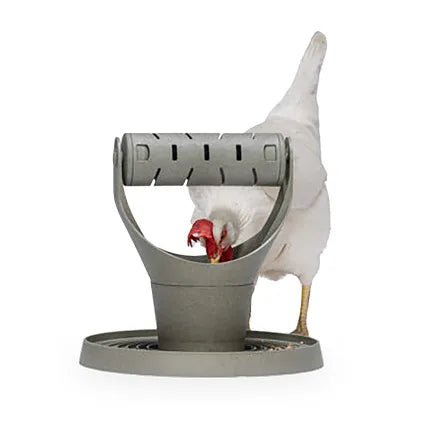 Bainbridge Chicken Playground 100% Recycled Plastic - Woonona Petfoods