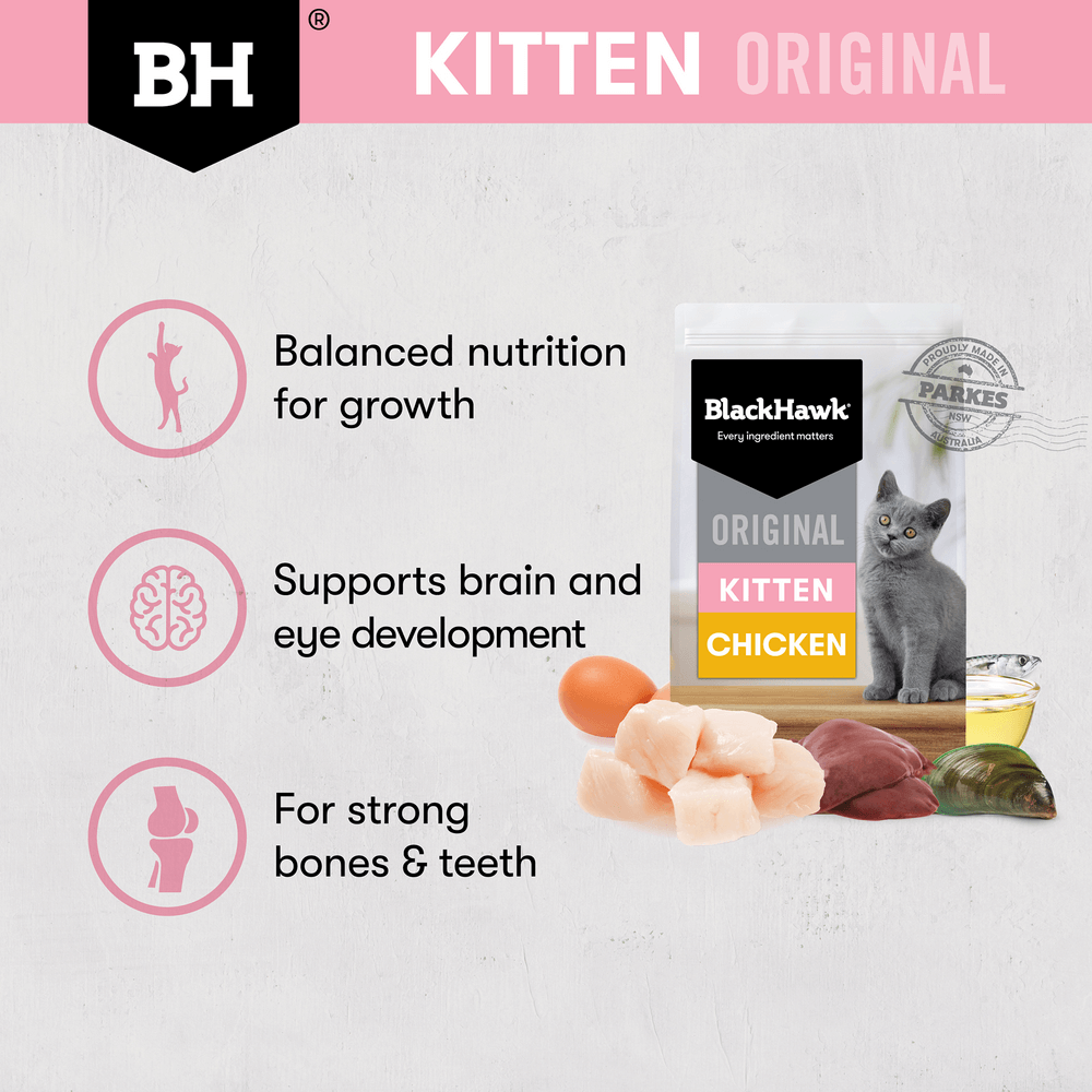 Black Hawk Dry Cat Food Kitten Chicken - Woonona Petfoods