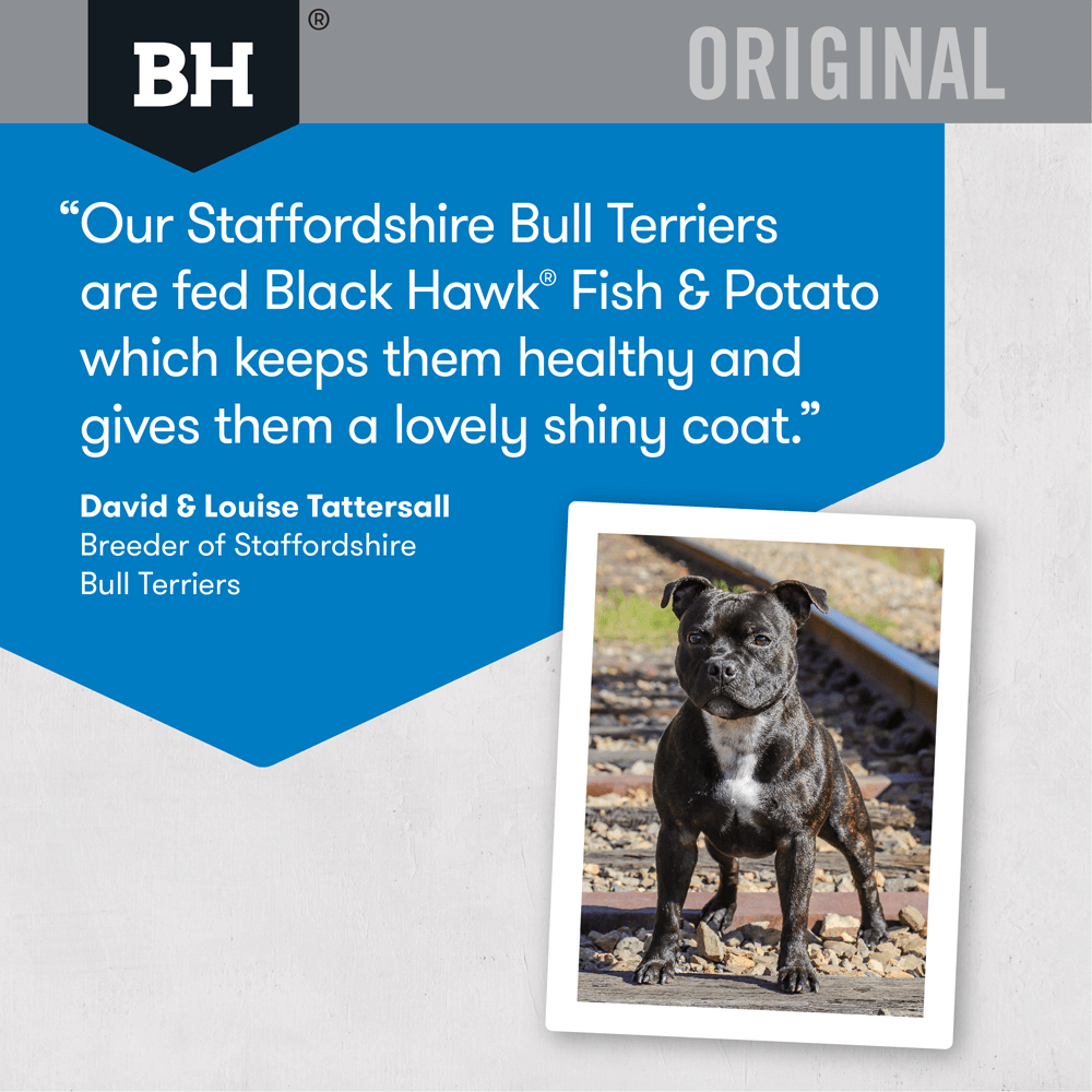 Black Hawk Dry Dog Food Adult Fish & Potato - Woonona Petfoods