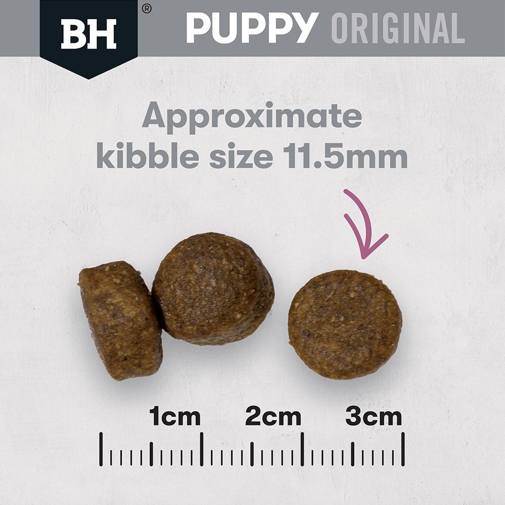 Black Hawk Dry Dog Food Puppy Large Breed Lamb and Rice - Woonona Petfoods