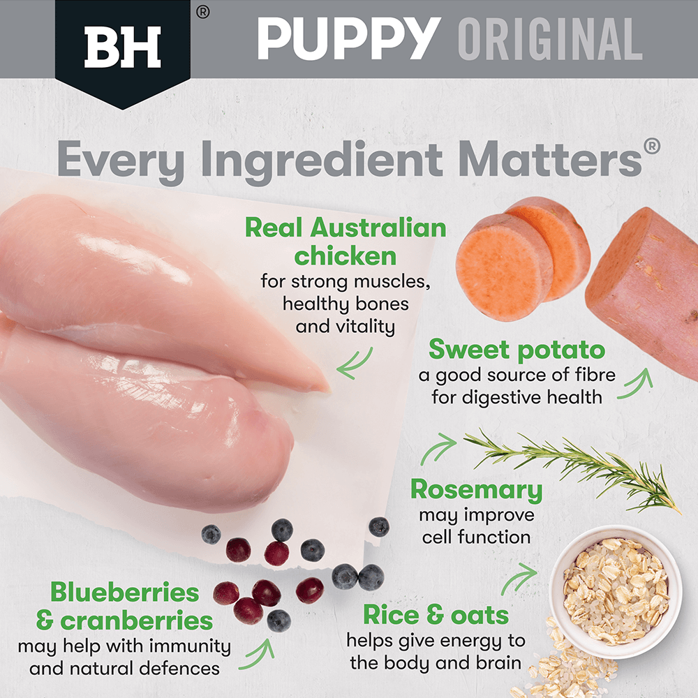 Black Hawk Dry Dog Food Puppy Medium Breed Chicken and Rice - Woonona Petfoods