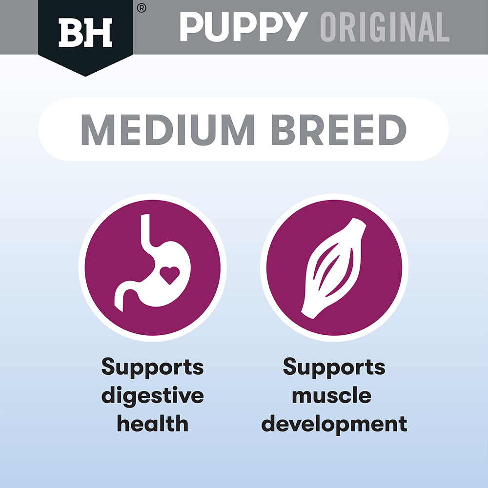 Black Hawk Dry Dog Food Puppy Medium Breed Lamb and Rice - Woonona Petfoods