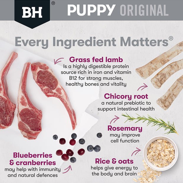 Black Hawk Dry Dog Food Puppy Medium Breed Lamb and Rice - Woonona Petfood & Produce