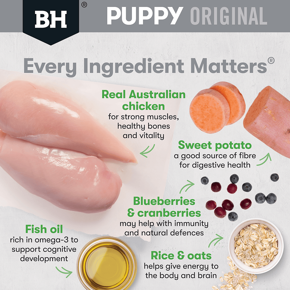 Black Hawk Dry Dog Food Puppy Small Breed Chicken and Rice - Woonona Petfoods