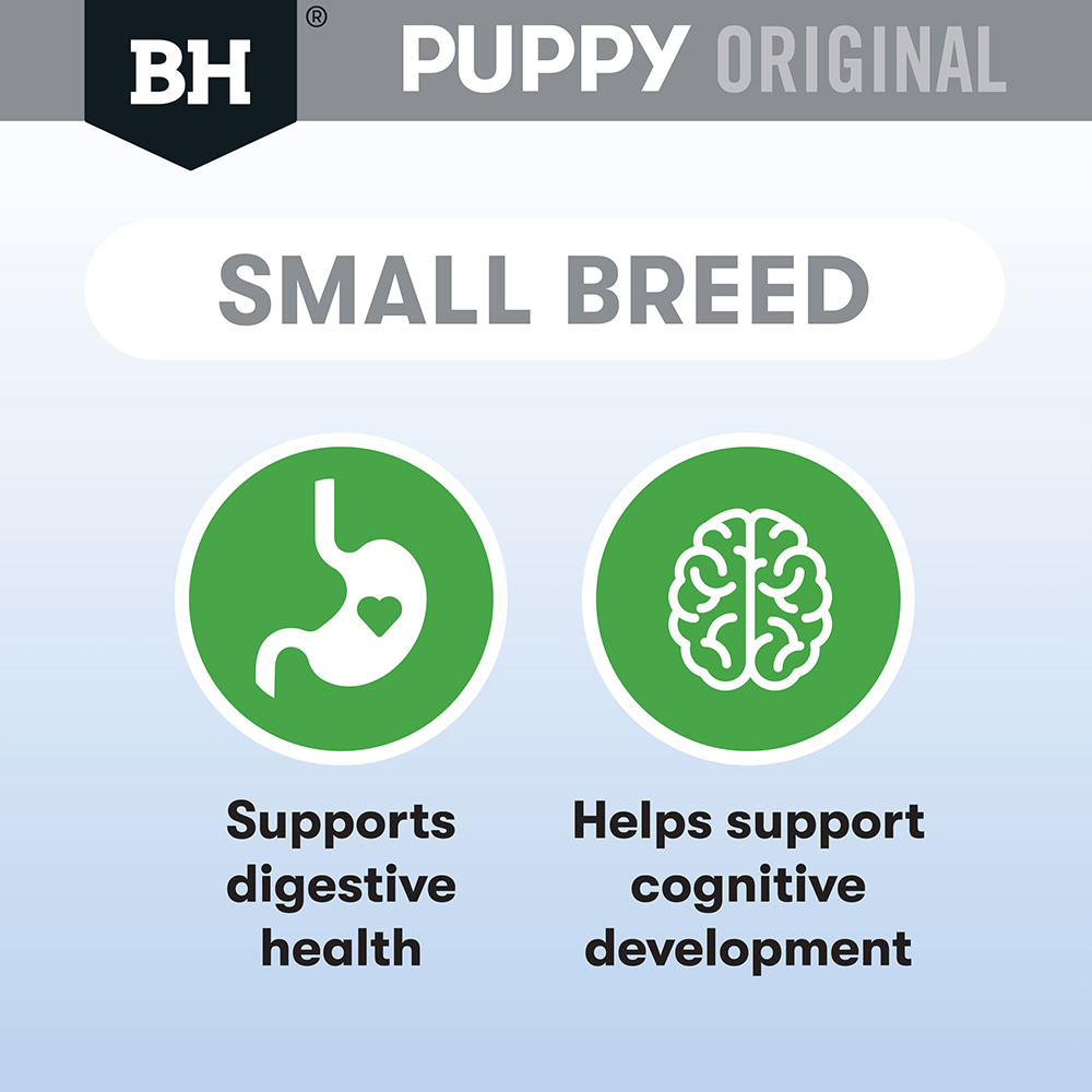 Black Hawk Dry Dog Food Puppy Small Breed Chicken and Rice - Woonona Petfoods