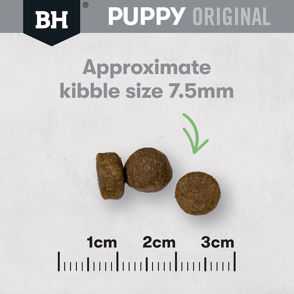 Black Hawk Dry Dog Food Puppy Small Breed Chicken and Rice - Woonona Petfoods