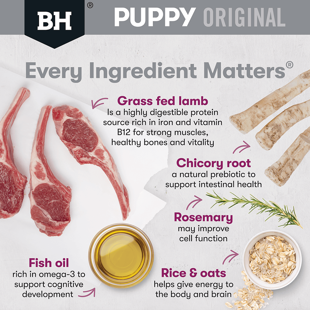 Black Hawk Dry Dog Food Puppy Small Breed Lamb and Rice - Woonona Petfoods