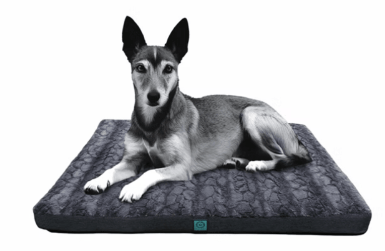 Bono Fido Orthopaedic High Side Foam Dog Mat - Woonona Petfoods