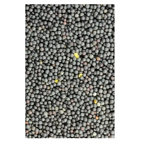 Canola Seed per - Woonona Petfoods