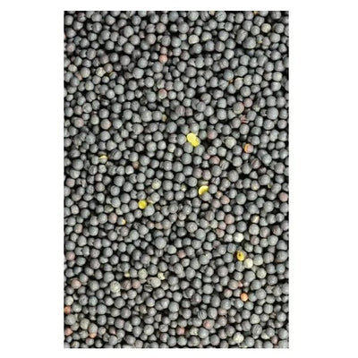 Canola Seed per