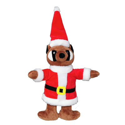 Christmas Racoon Dressed in Santa Clothes K9