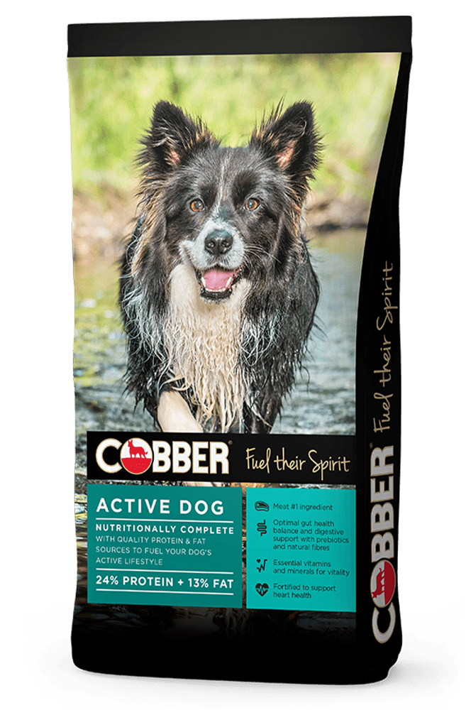 Cobber Active Dry Dog 20kg - Woonona Petfoods