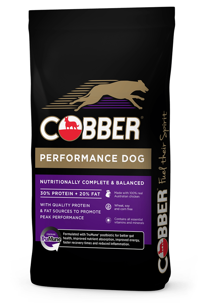 Cobber Performance Dy Dog Food - Woonona Petfoods