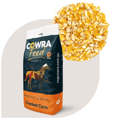 Corn Cracked per