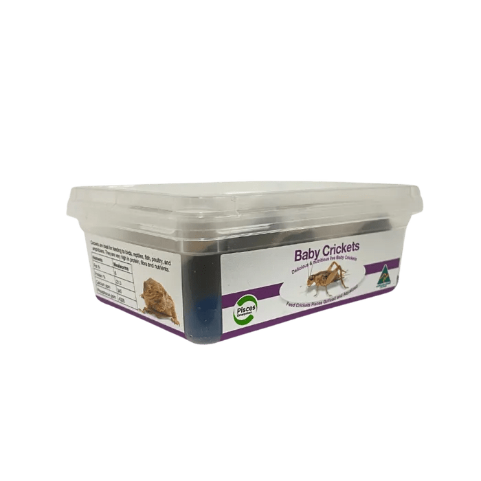 Crickets Baby 100+ Tub - Woonona Petfoods