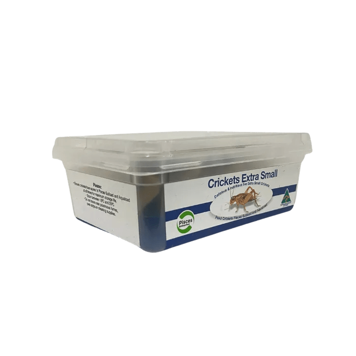 Crickets XSmall 50 Tub - Woonona Petfoods