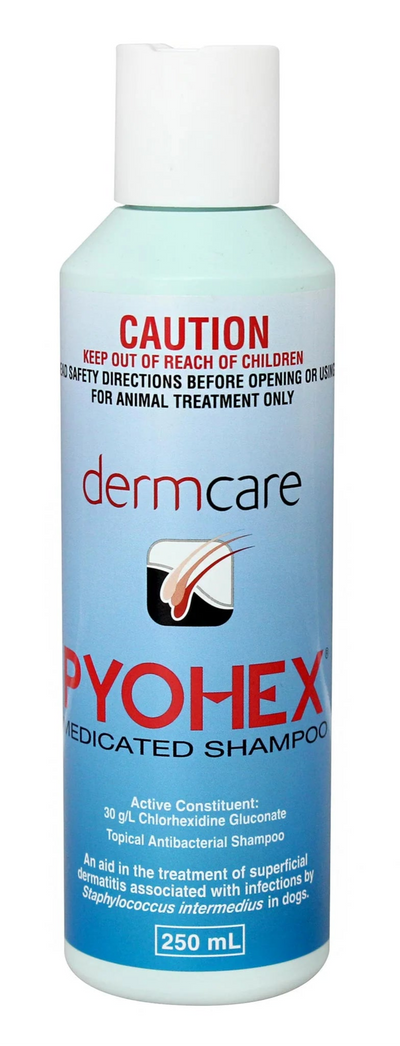 Dermcare Pyohex Shampoo