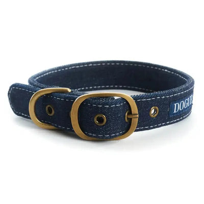 Dogue Collar Denim