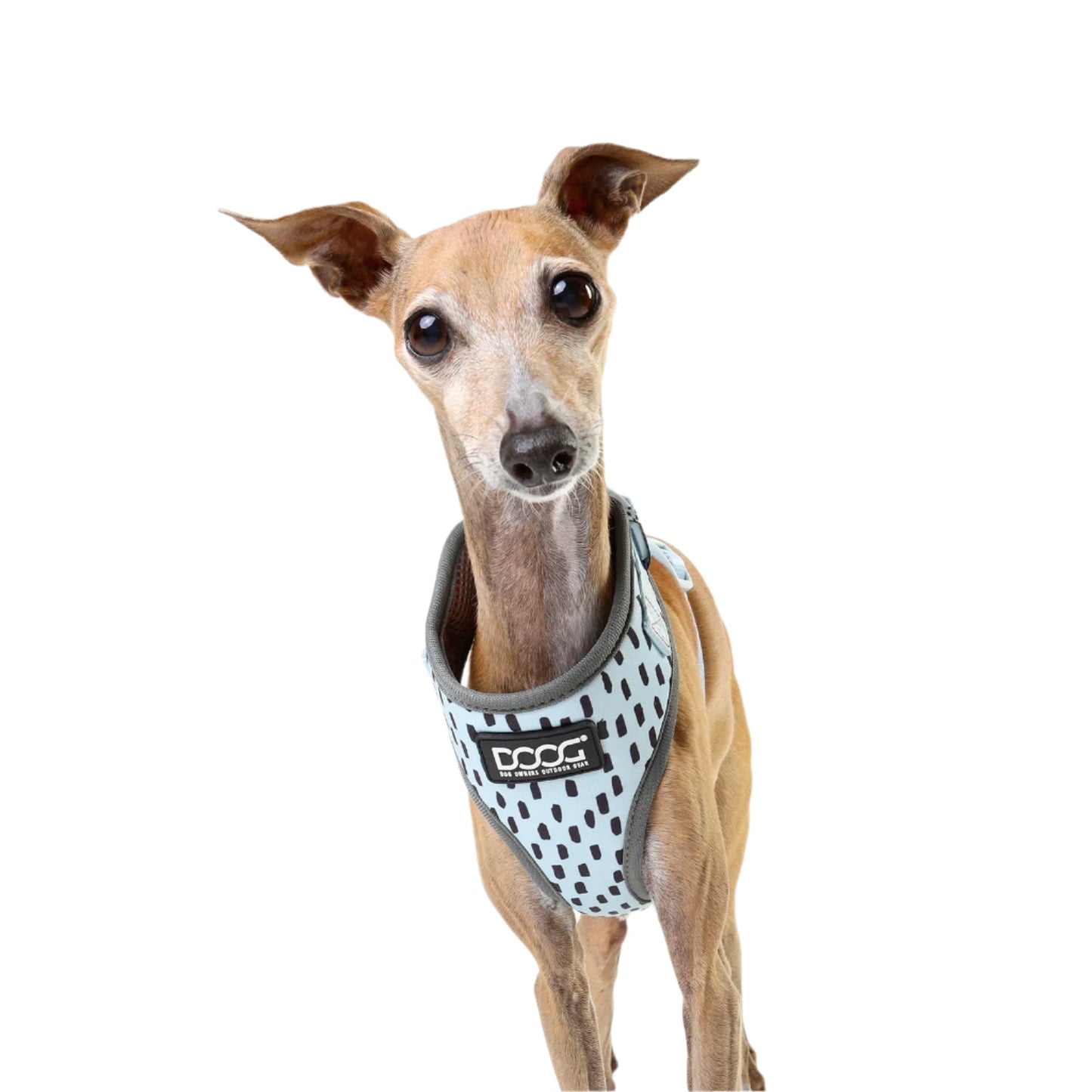 Doog Neoflex Dog Harness DASH - Woonona Petfoods