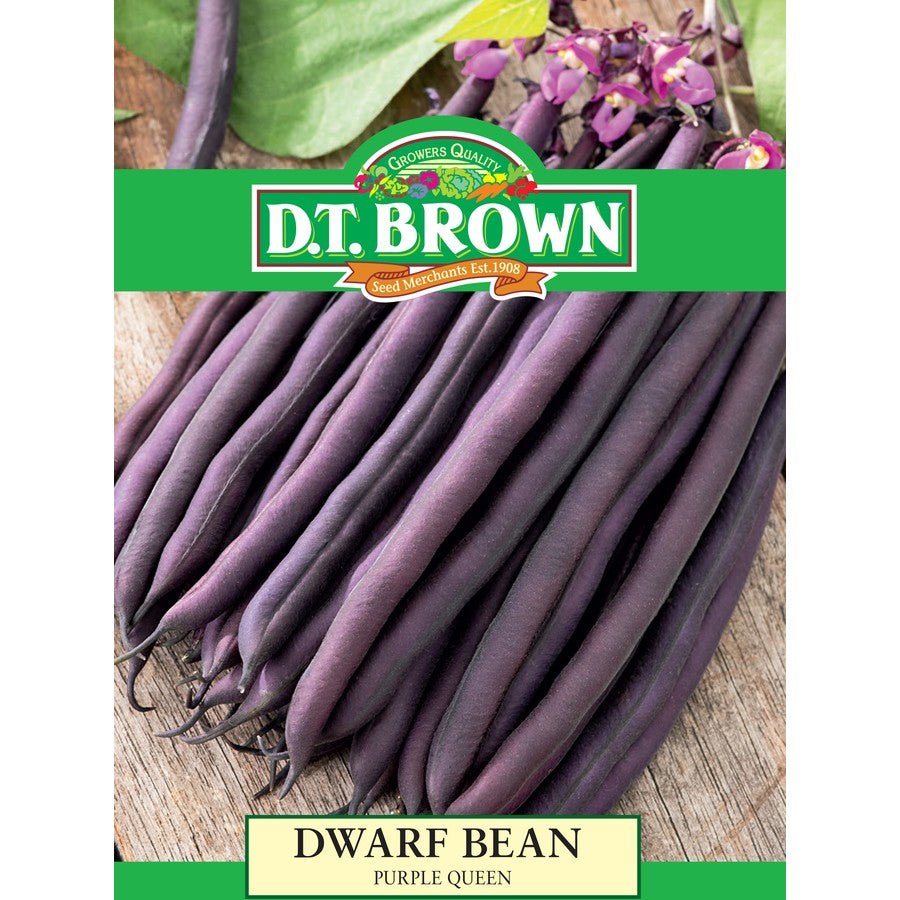 DT Brown Dwarf Bean Purple Queen - Woonona Petfoods