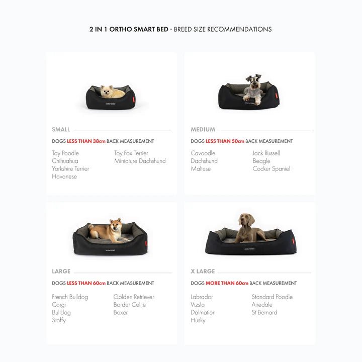 Ezydog 2 in 1 Ortho Smart Dog Bed Charcoal Small - Woonona Petfoods