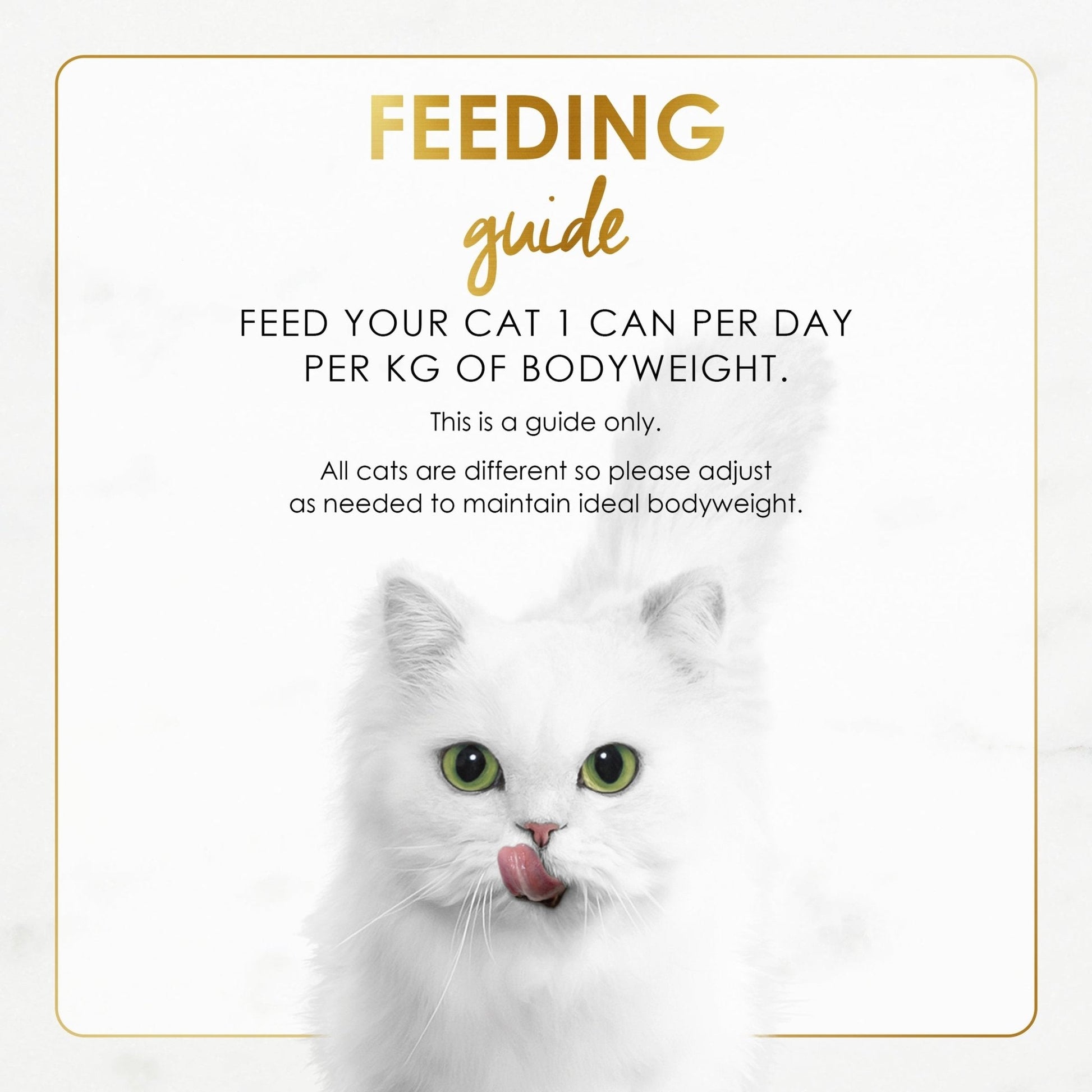 Fancy Feast Gravy Lovers Beef Feast in Roasted Beef Flavour Gravy 85g - Woonona Petfood & Produce