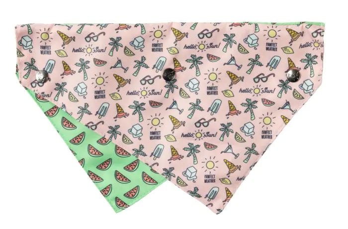 Fuzzyard Bandana Hello Sun Woonona Petfood Produce